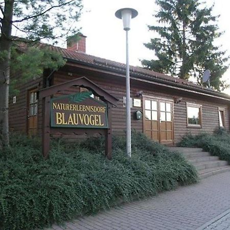 Ferienhaus Nr 32, Typ A, Ferienanlage Blauvogel, Hasselfelde, Harz Exterior photo